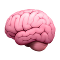 Adaptogens