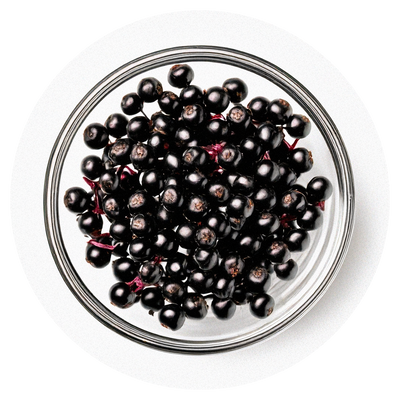 Elderberry