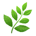 Herbs