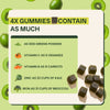 10EX SUPERFOOD GUMMIES