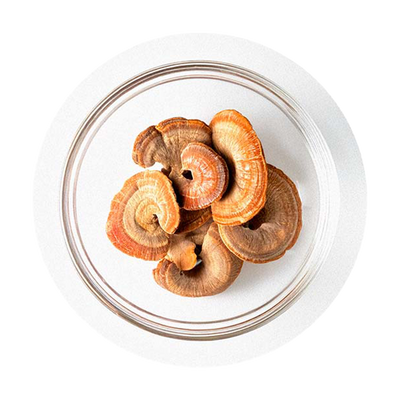 Reishi Mushroom