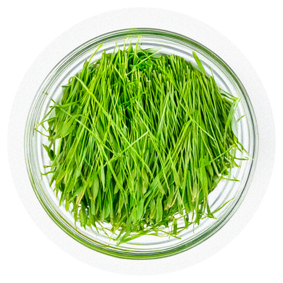 Wheatgrass